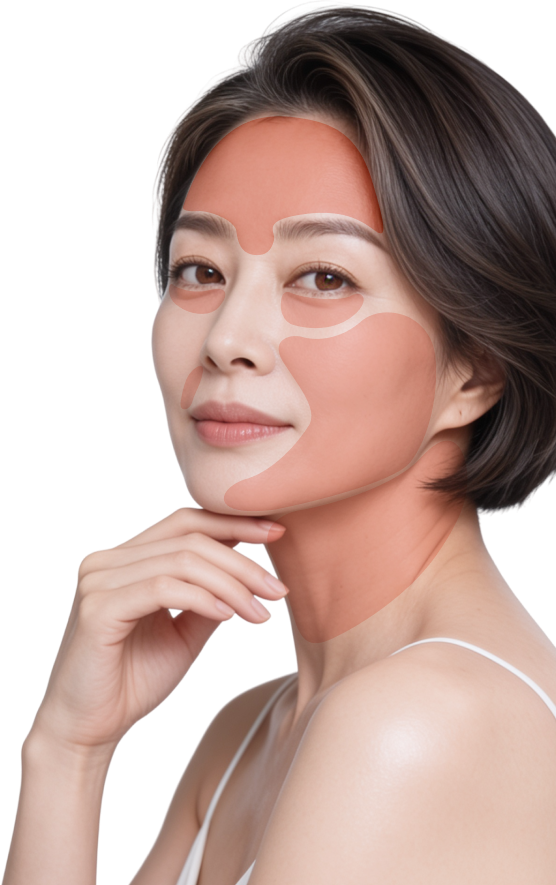 얼굴 고민 부위 안내 모델